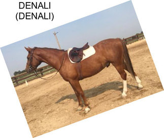 DENALI (DENALI)