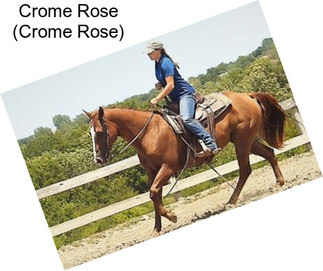 Crome Rose (Crome Rose)