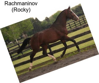 Rachmaninov (Rocky)