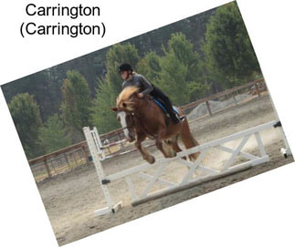Carrington (Carrington)