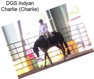 DGS Indyan Charlie (Charlie)