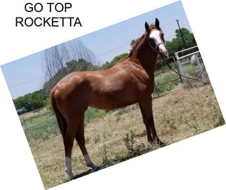 GO TOP ROCKETTA