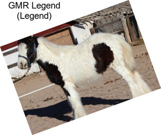 GMR Legend (Legend)