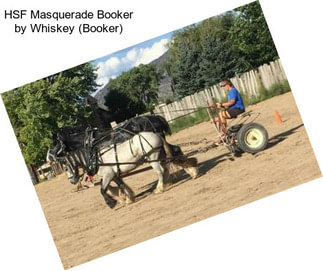 HSF Masquerade Booker by Whiskey (Booker)