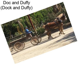 Doc and Duffy (Dock and Duffy)