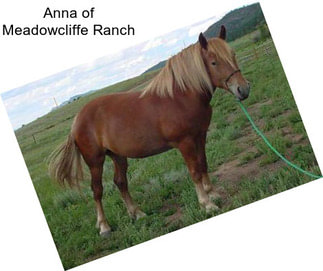 Anna of Meadowcliffe Ranch