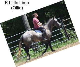 K Little Limo (Ollie)