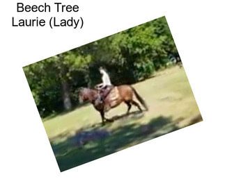 Beech Tree Laurie (Lady)
