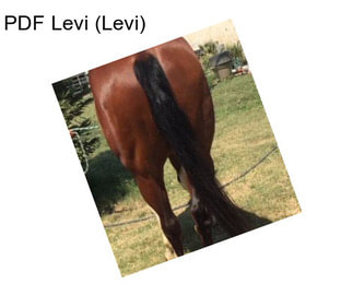 PDF Levi (Levi)