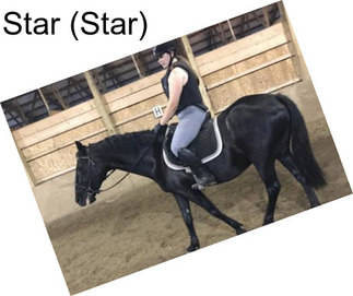 Star (Star)