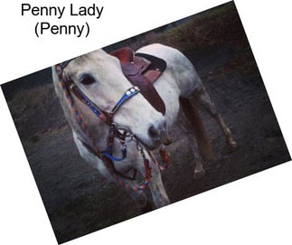 Penny Lady (Penny)