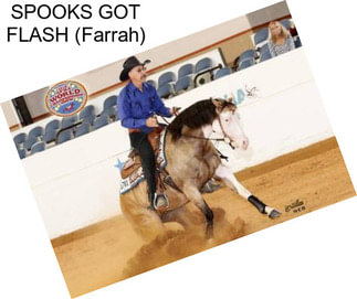 SPOOKS GOT FLASH (Farrah)