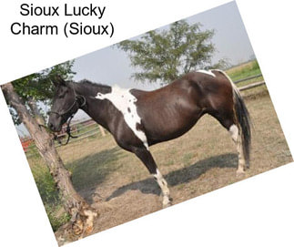 Sioux Lucky Charm (Sioux)