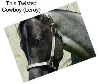 This Twisted Cowboy (Leroy)