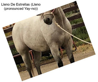 Lleno De Estrellas (Lleno (pronounced Yay-no))