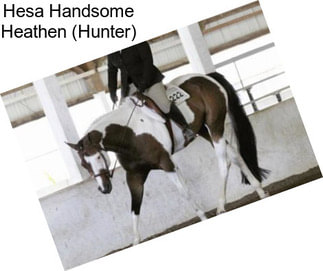 Hesa Handsome Heathen (Hunter)