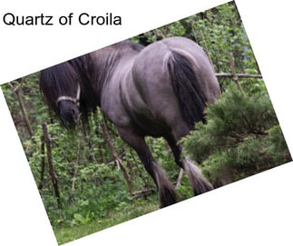 Quartz of Croila