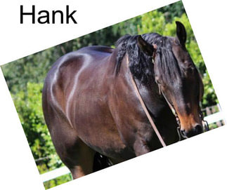 Hank