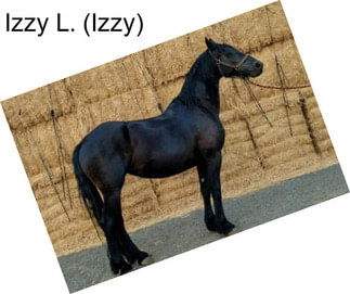 Izzy L. (Izzy)