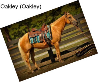 Oakley (Oakley)