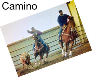 Camino