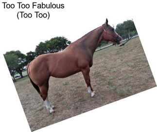 Too Too Fabulous (Too Too)