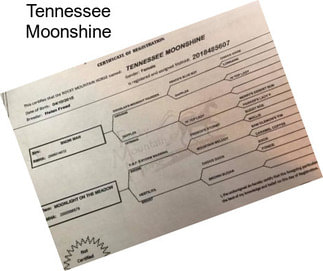 Tennessee Moonshine