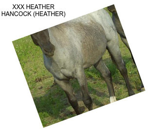 XXX HEATHER HANCOCK (HEATHER)