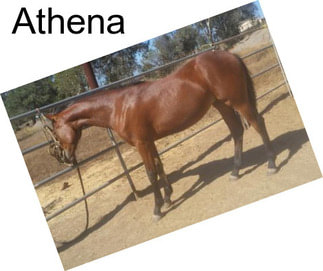 Athena