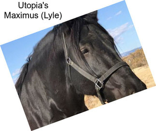 Utopia\'s Maximus (Lyle)