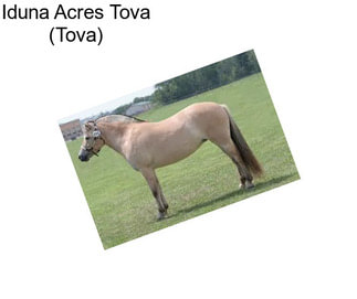 Iduna Acres Tova (Tova)