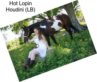 Hot Lopin Houdini (LB)