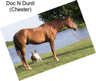Doc N Dunit (Chester)