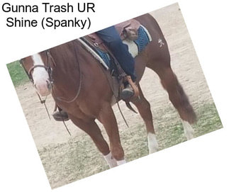 Gunna Trash UR Shine (Spanky)