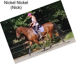 Nickel Nickel (Nick)