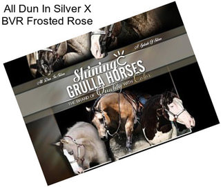 All Dun In Silver X BVR Frosted Rose