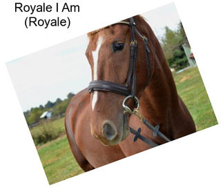 Royale I Am (Royale)