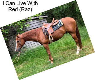 I Can Live With Red (Raz)