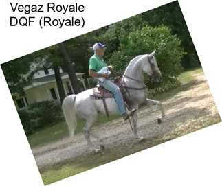 Vegaz Royale DQF (Royale)