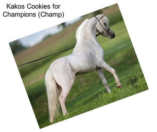 Kakos Cookies for Champions (Champ)