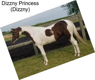 Dizzny Princess (Dizzny)