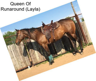 Queen Of Runaround (Layla)