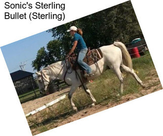 Sonic\'s Sterling Bullet (Sterling)