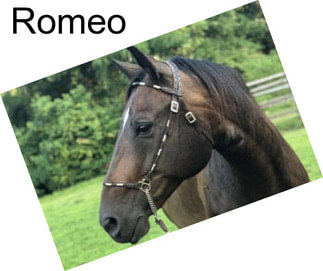 Romeo