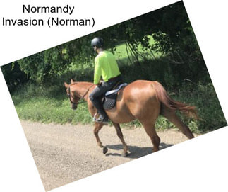 Normandy Invasion (Norman)