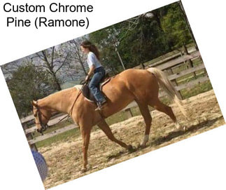 Custom Chrome Pine (Ramone)