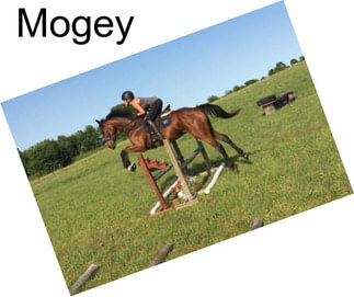 Mogey