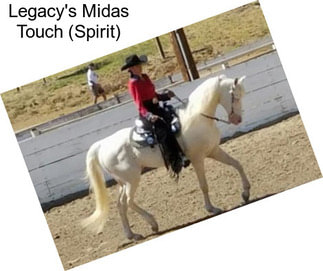 Legacy\'s Midas Touch (Spirit)