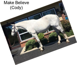 Make Believe (Cody)