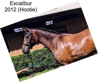 Excalibur 2012 (Hootie)